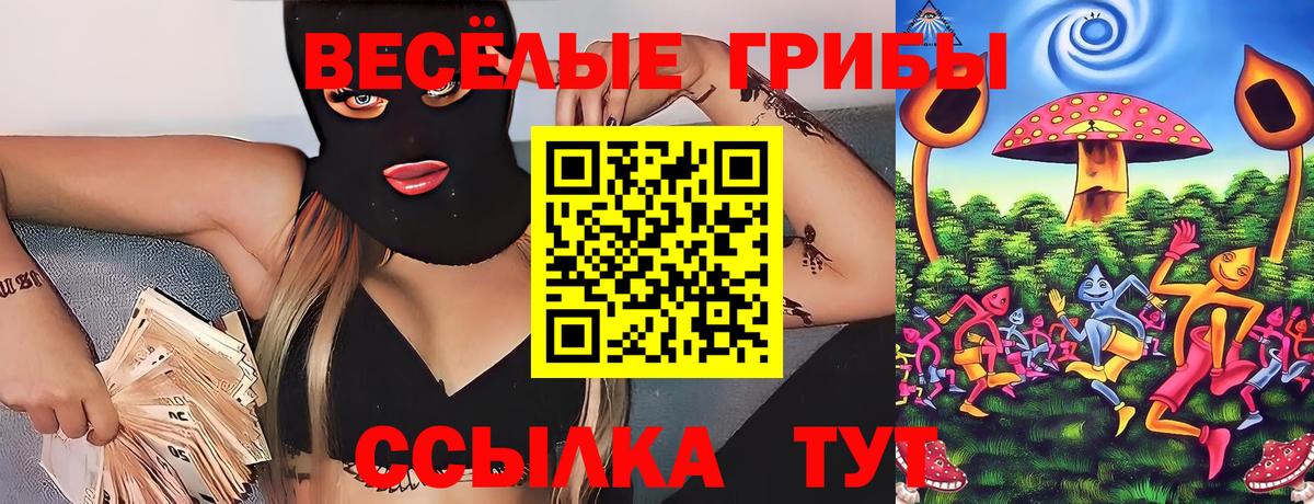 Псилоцибиновые грибы Psilocybe  Вход с VPN  закладка  Сальск 