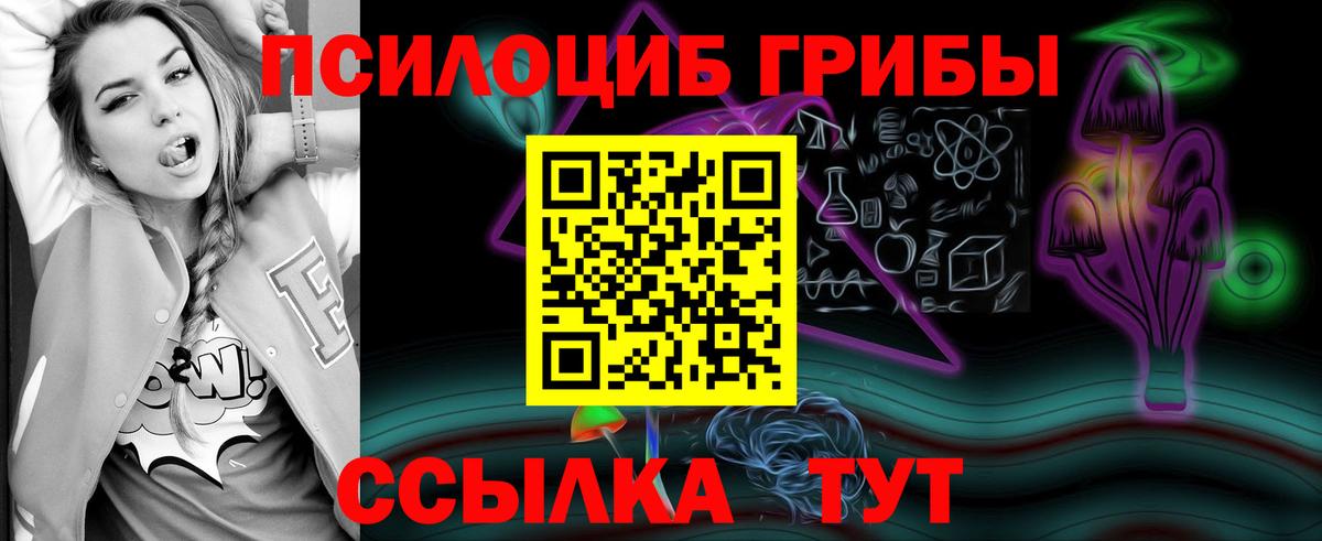 Галлюциногенные грибы GOLDEN TEACHER Сальск